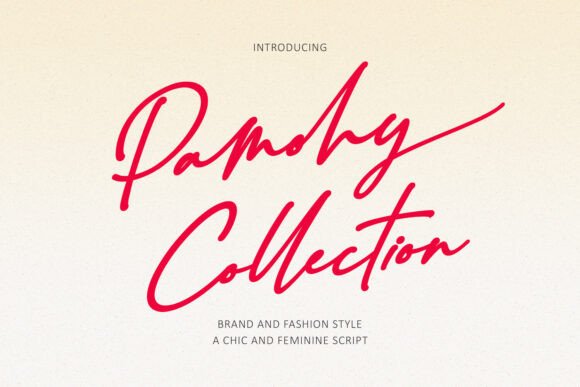 Pamohy Collection: Elevating Design with Handwritten Elegance
