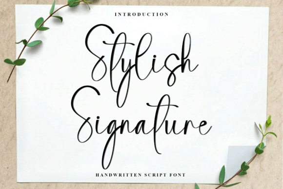 Stylish Signature: Elevating Design with Elegant Typography