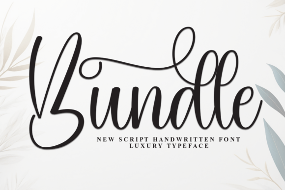 The Bundle Font: Elevate Your Brand with Timeless Elegance